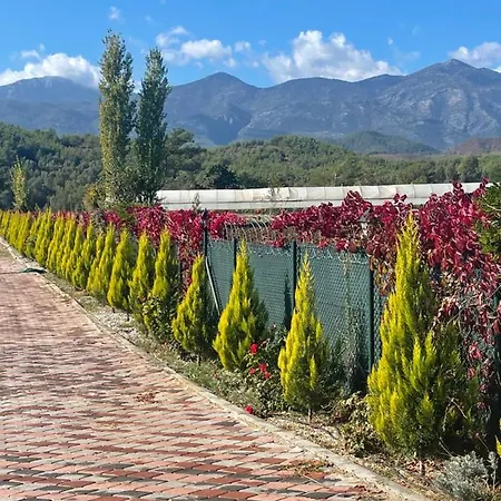 Villa Manolya *