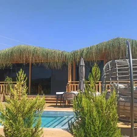 Villa Manolya *